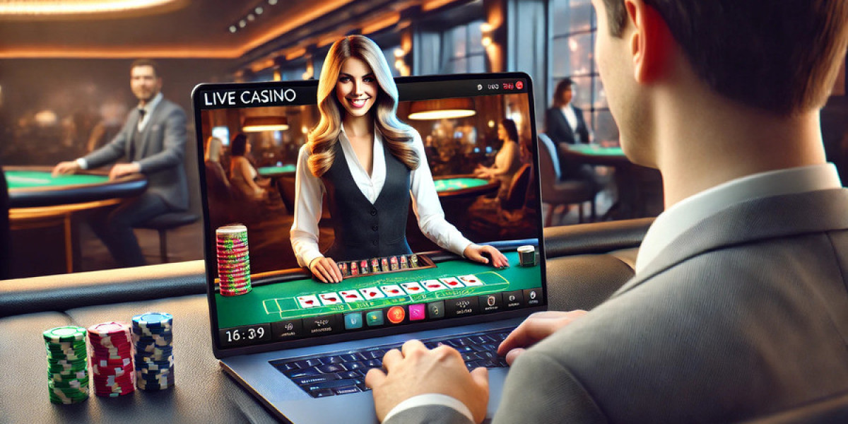 Explore the Casino Site Experience